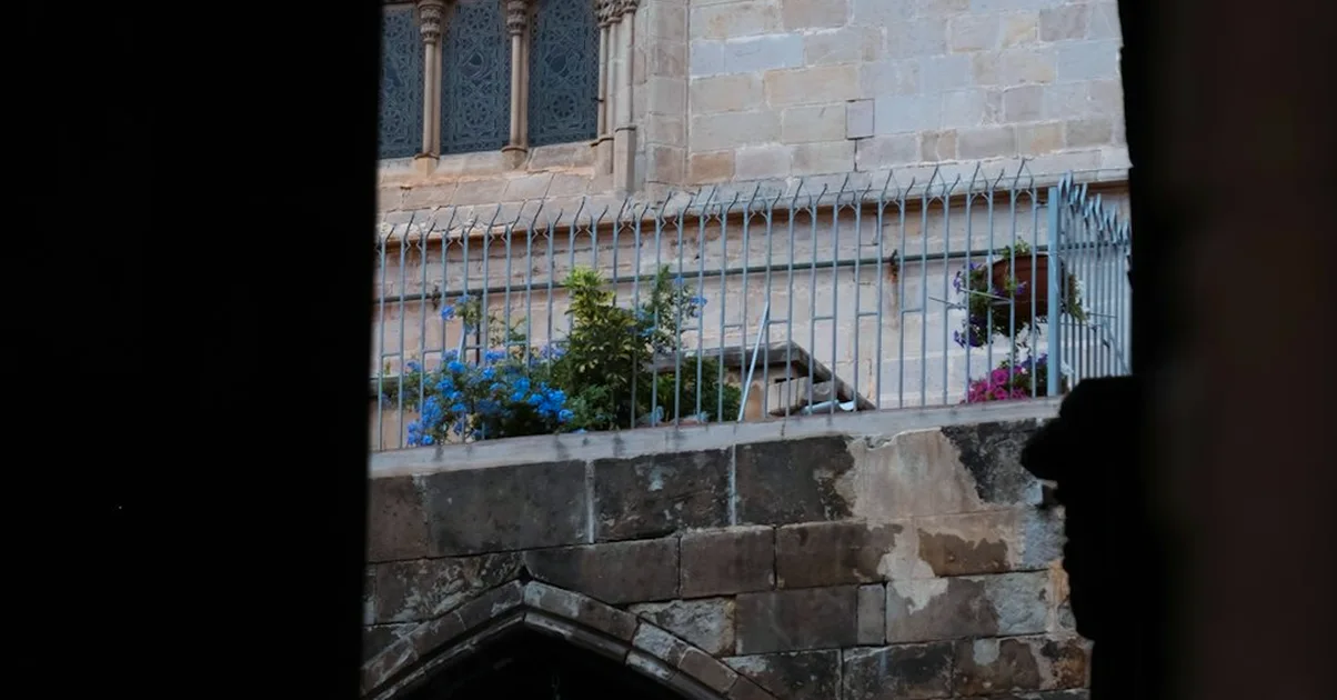 En Ciutat Vella, Born no es como Gòtic ni Barceloneta